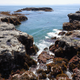 Illustration for article titled Pics from the (Ocean Floor): 2018-05-05 at Botanical Beach